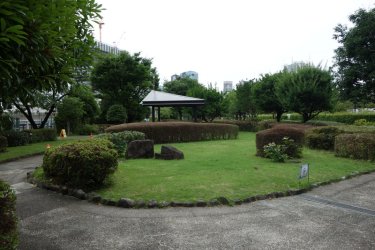 DSC05938.JPG