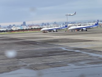 IMG_9817.jpg
