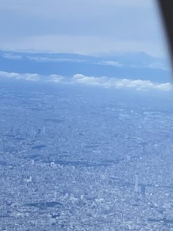IMG_9825.jpg