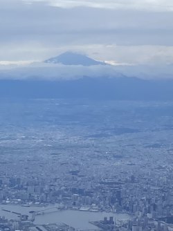 IMG_9828.jpg