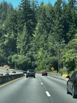 IMG_2033.jpeg