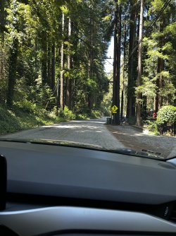 IMG_2038.jpeg