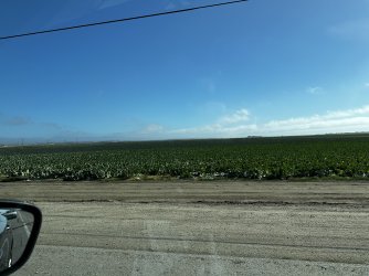 IMG_2078.jpeg