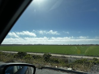 IMG_2079.jpeg