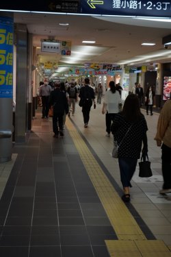 DSC06049.JPG