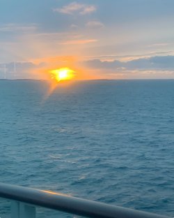 IMG_1336.jpeg