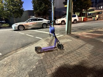IMG_3038.jpeg