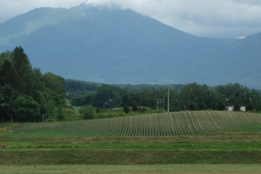 DSC06643-001.JPG