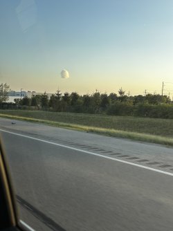 IMG_2624.jpeg