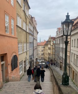 IMG_1719.jpeg