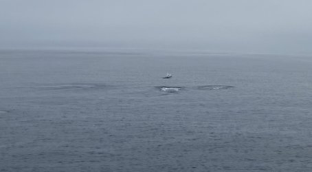 IMG_0164.jpg