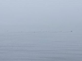 IMG_0176.jpg