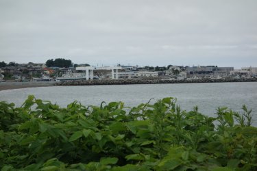 DSC07055.JPG