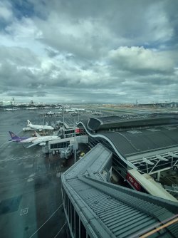 IMG_20240730_093259195_HDR.jpg