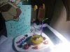 IMG_20150327_042915.jpg