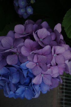 DSC07489.JPG