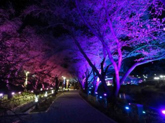 jpeg-optimizer_IMG_0147(2).JPG