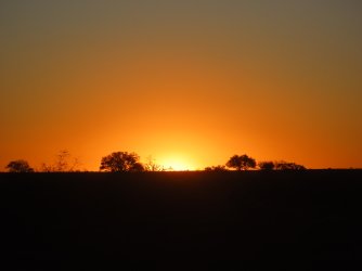 IMG_6394.jpeg