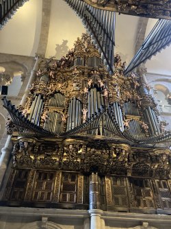 IMG_7816.jpeg
