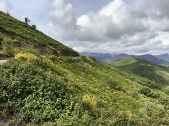 IMG_9979.jpeg