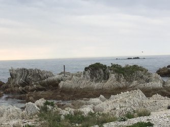 IMG_0693.jpeg