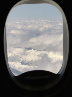 IMG_0010.jpeg