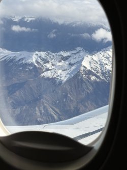 IMG_0016.jpeg