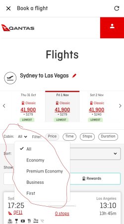Screenshot_20241015_090957_Qantas.jpg