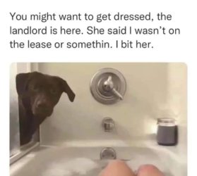 1729407073869.jpeg