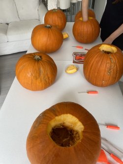 IMG_1117.jpeg
