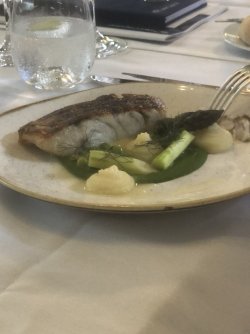 IMG_1541.jpeg