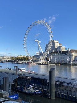 IMG_1881.jpeg