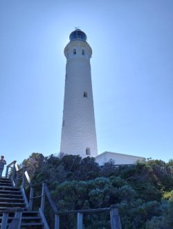 d79.jpg