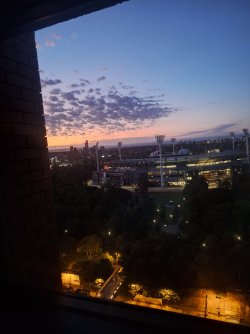 20241129_052627.jpg