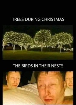 IMG_6329.jpeg