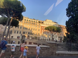 IMG_9464.jpeg