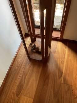 IMG_1686.jpeg