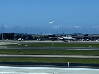 IMG_1393.jpeg
