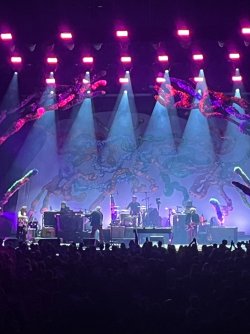 IMG_0699.jpeg