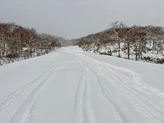 IMG_4785.jpeg