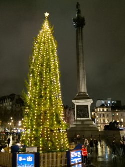 20241212_185751.jpg