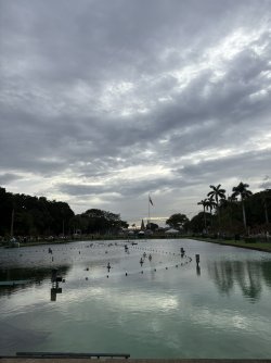 3578CF5D-7F79-4AB2-9E49-1D2298C50B26_1_102_o.jpeg