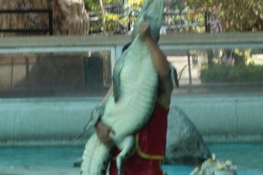 DSC08042.JPG
