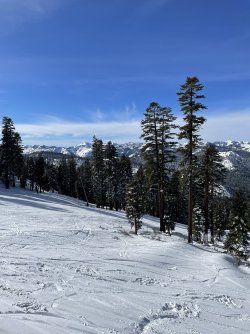 IMG_4883.jpeg