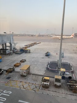 B1D082E7-8E26-4F90-BBA8-9FC7347B96AB_1_102_o.jpeg