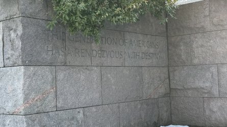 IMG_3630.jpeg IMG_3630.jpeg