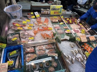 IMG_0314.jpeg