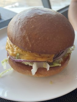 IMG_5123.jpeg