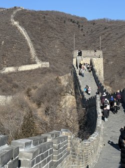 IMG_0512.jpeg