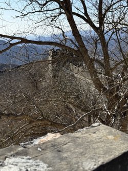 IMG_0545.jpeg